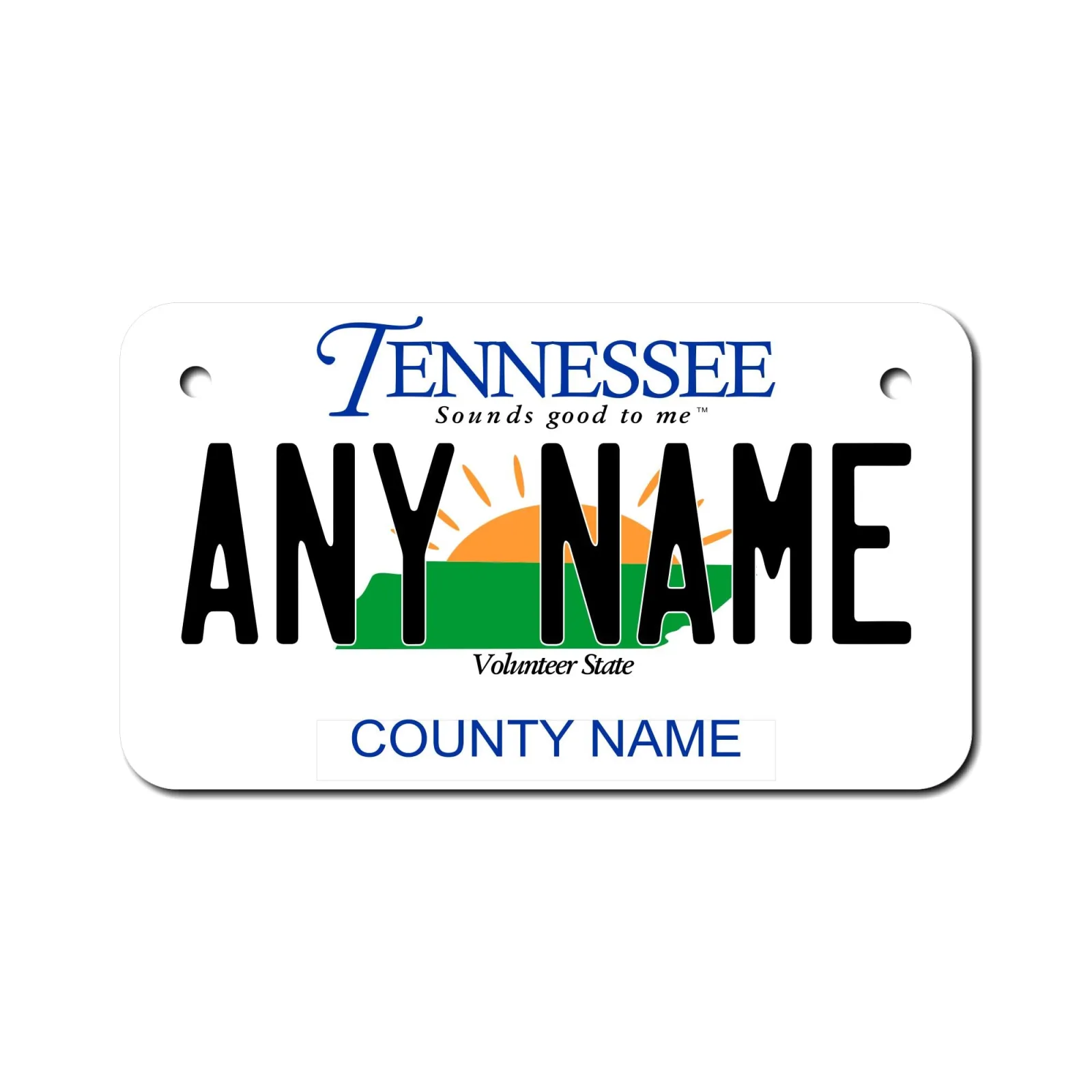 Personalized Tennessee Aluminum License Plate 4 x 7 Inch