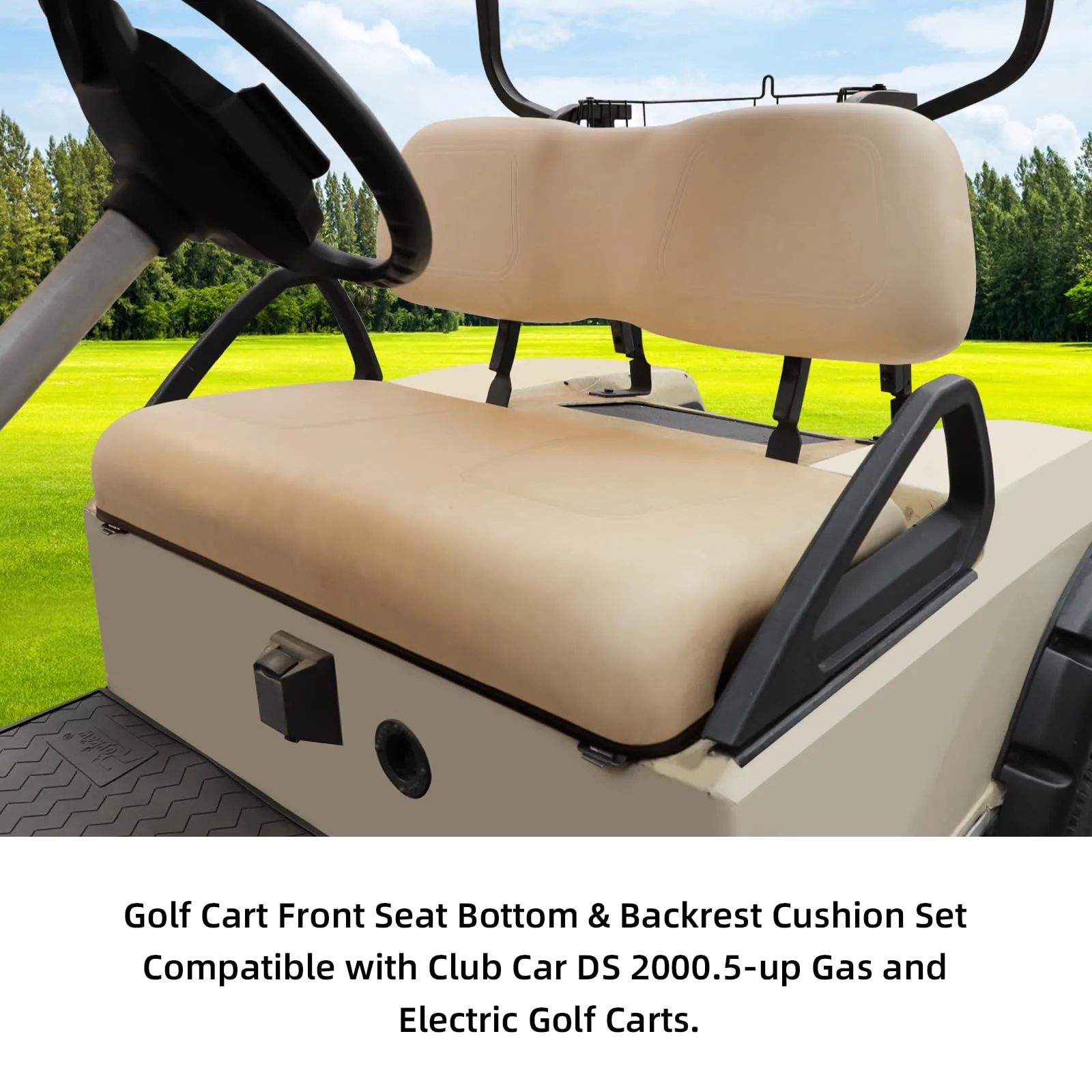 Roykaw Club Car DS Front Seat Cushion Set image 2