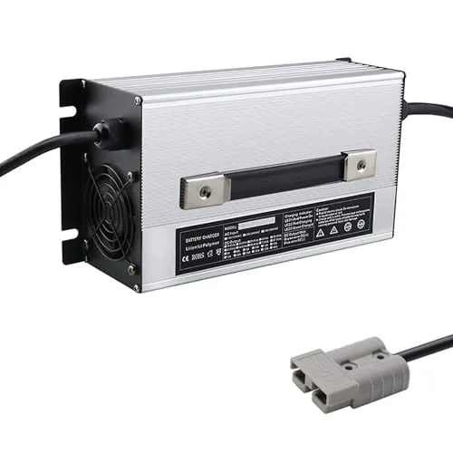 48V 25A Lead-Acid Golf Cart Battery Charger