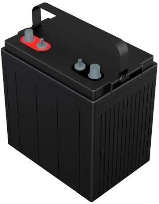 Raion Power 8V 165Ah AGM Battery Set for Cruise Car T14 F image 4