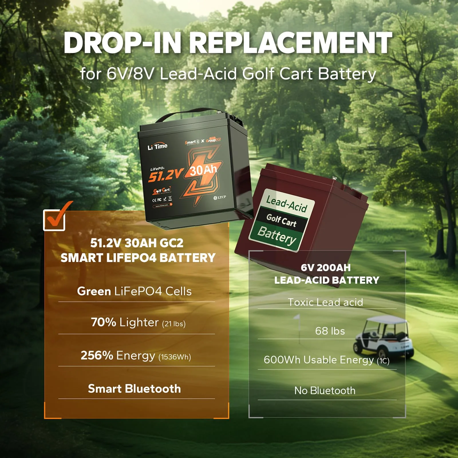 LiTime 48V 30Ah LiFePO4 Golf Cart Battery with Charger image 3