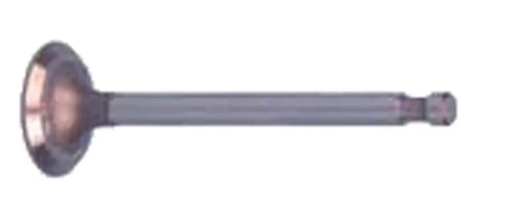 Club Car DS FE350 Intake Valve 1996-Up | Performance Plus