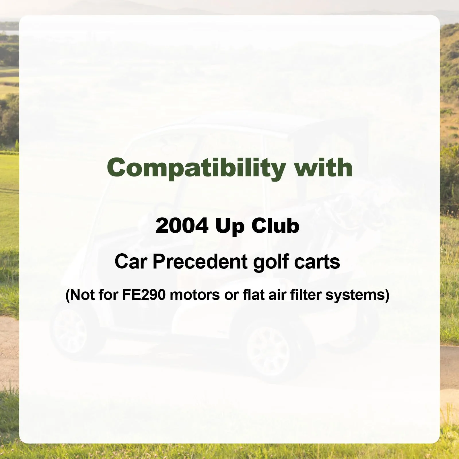 RARAYC Tune-Up Kit for Club Car Precedent FE350 image 2