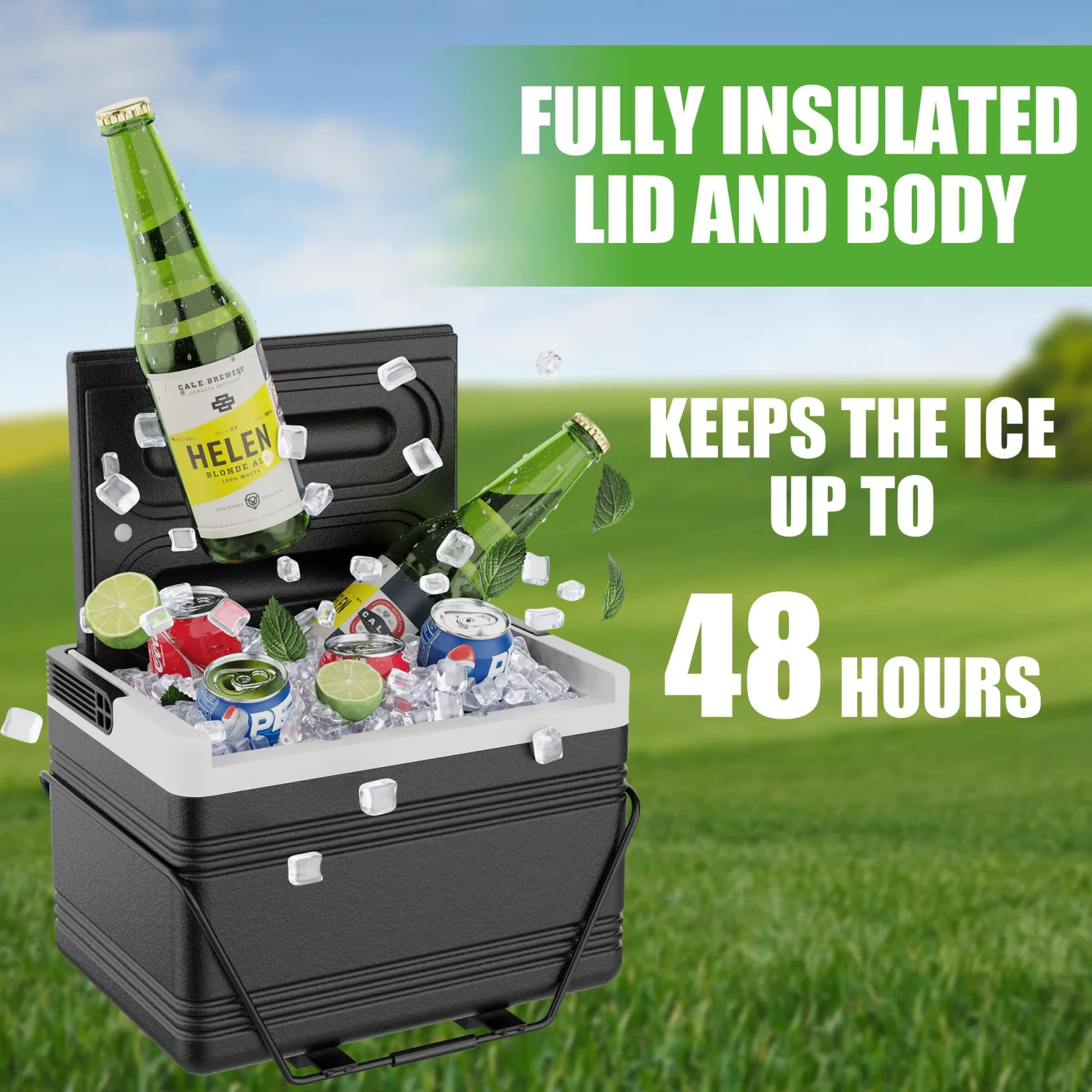 10L0L Golf Cart Cooler with Mounting Bracket image 4