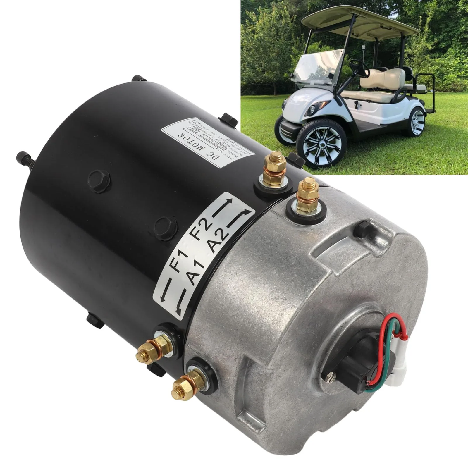 Brilluxa 48V Motor for Yamaha G29 Drive YDR 2007-2016 image 3