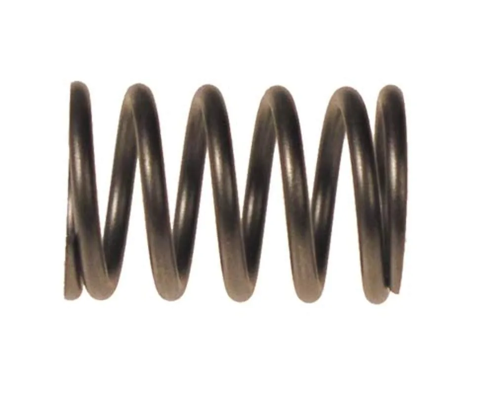 E-Z-GO RXV Gas Engine Valve Spring 7618