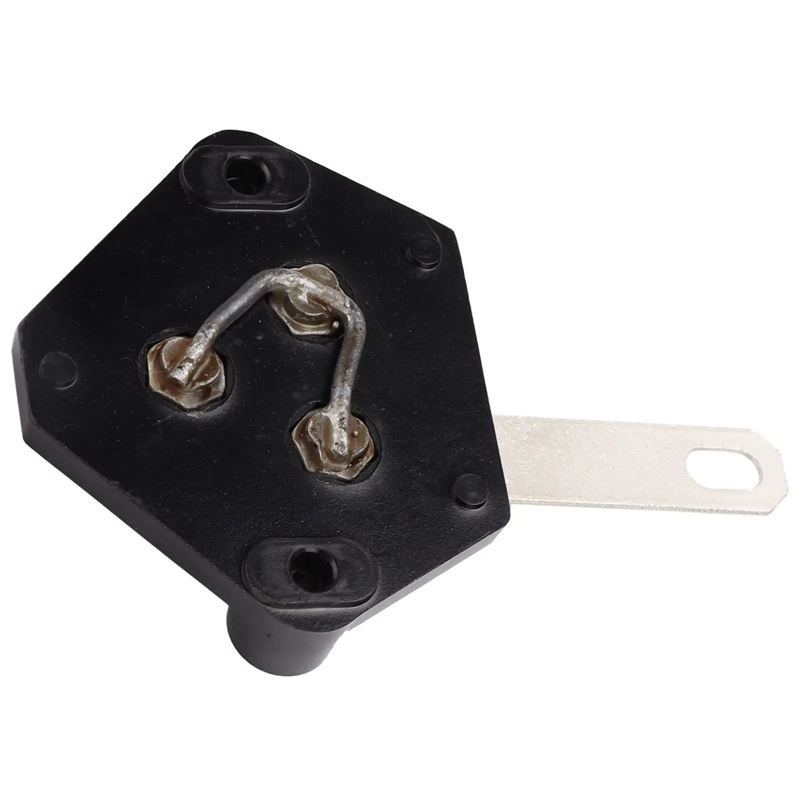 Pongnas 25A Dual Link Charger Fuse for Lester Models image 2