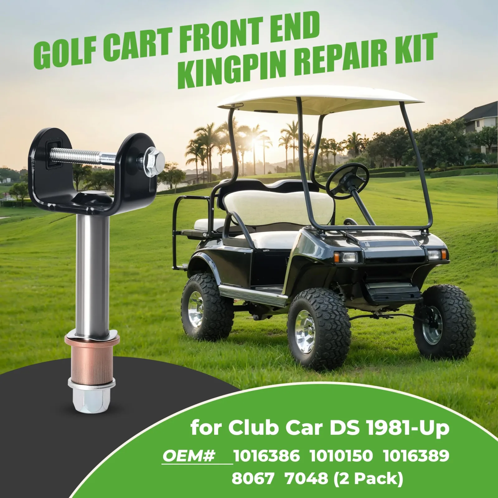 10L0L King Pin Repair Kit for Club Car DS 1981-Up image 4