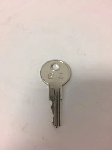 Generic E-Z-GO Golf Cart Ignition Keys, 25 Count image 2