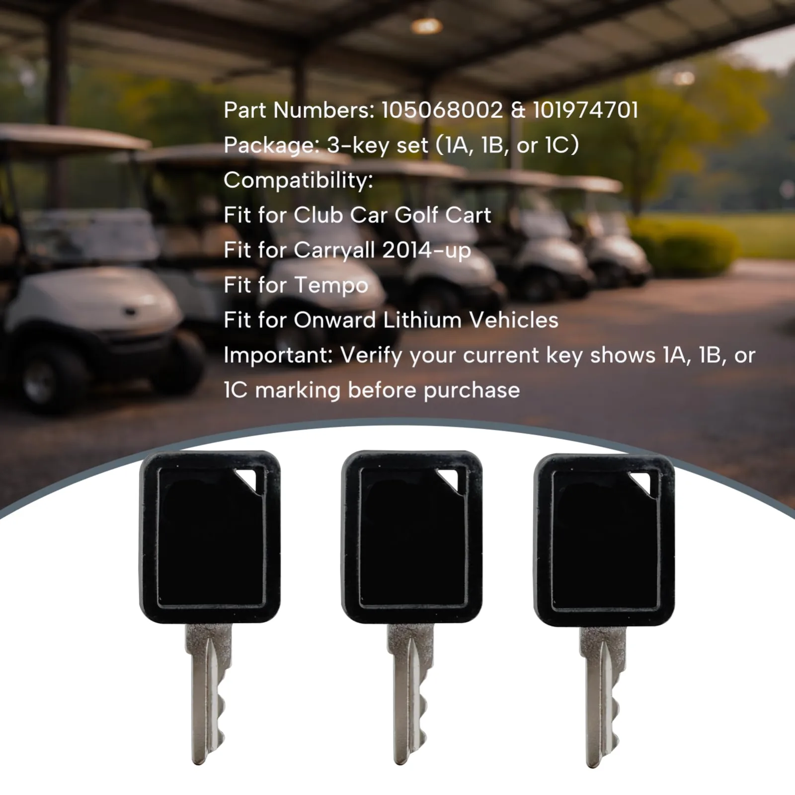 Qiqimingxin Club Car Golf Cart Key Set 1A and 1B image 2