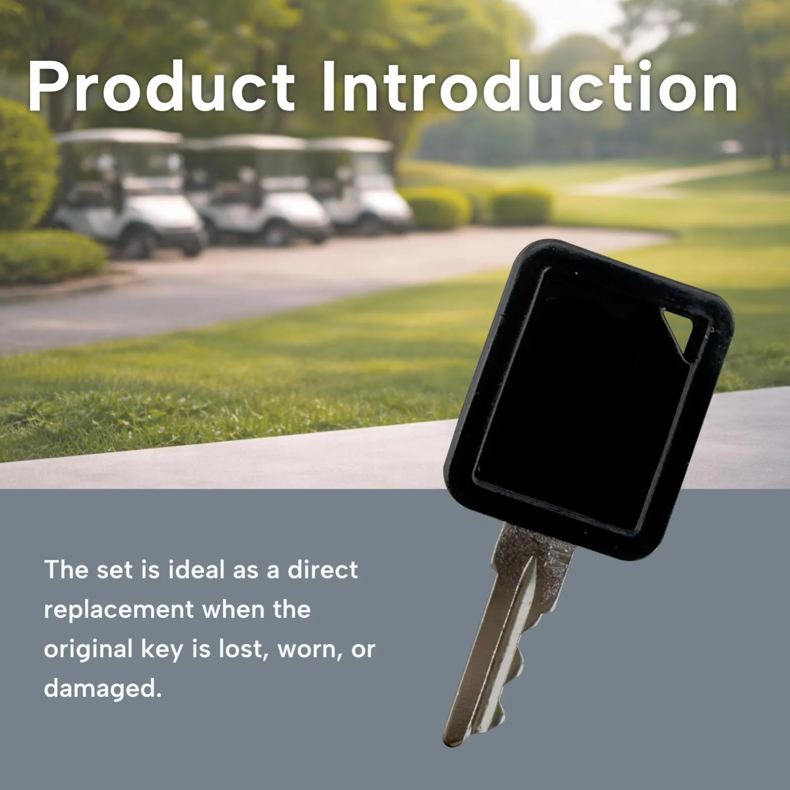 Qiqimingxin Club Car Golf Cart Key Set 1A and 1B image 4