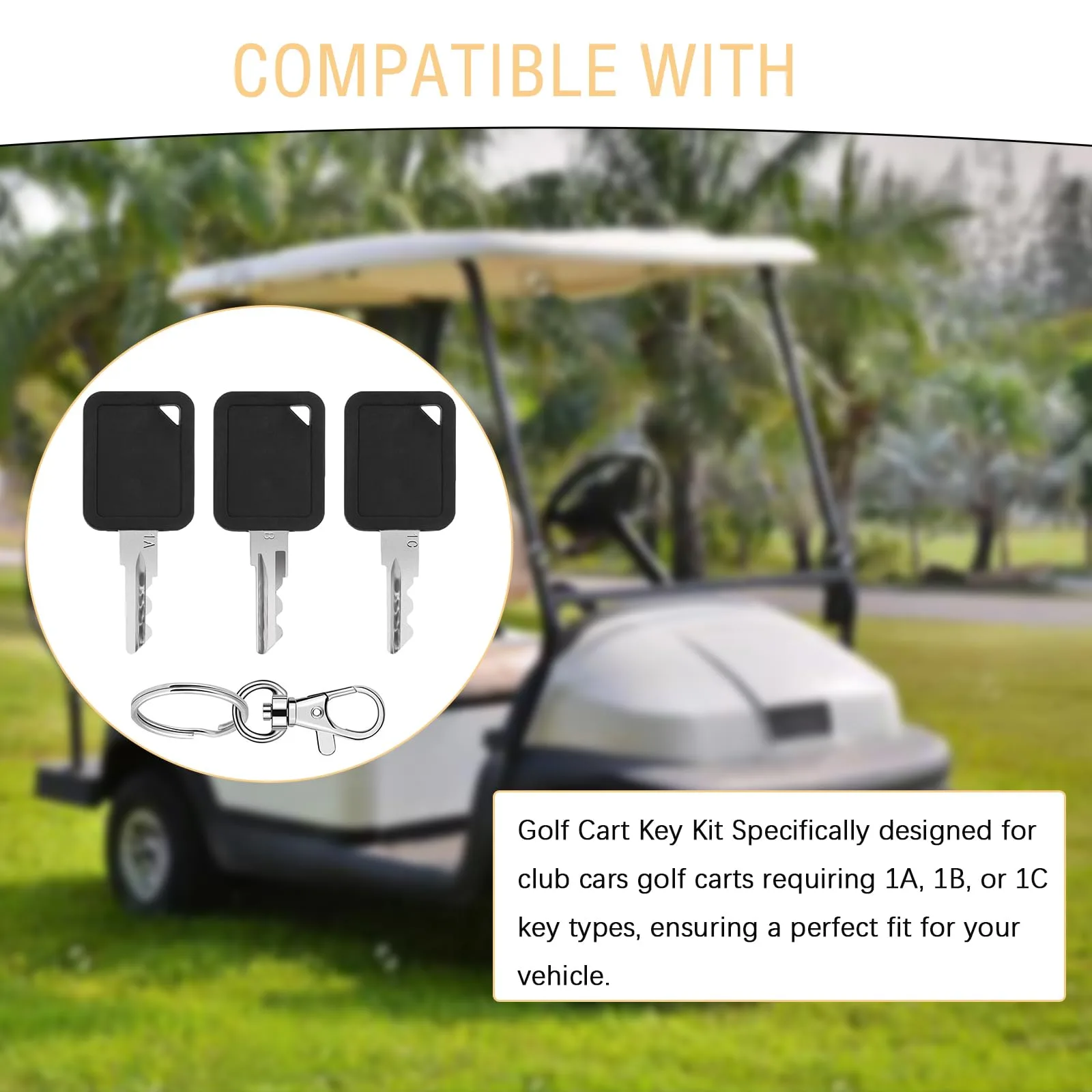 rosyquarz Club Car Golf Cart Replacement Key Set 1A-1C image 3