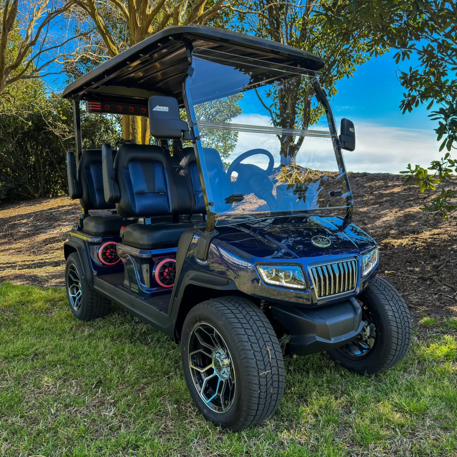 RED DOT Folding Windshield for Evolution D5 Golf Carts 09-226 image 4
