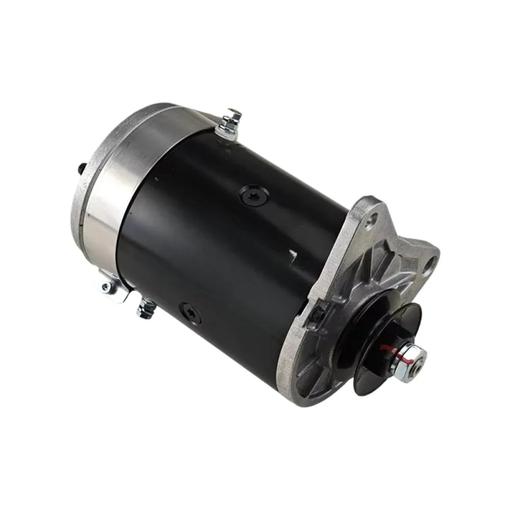 xeNWBNQsu Starter Generator Motor for 2-Seater Gas Carts