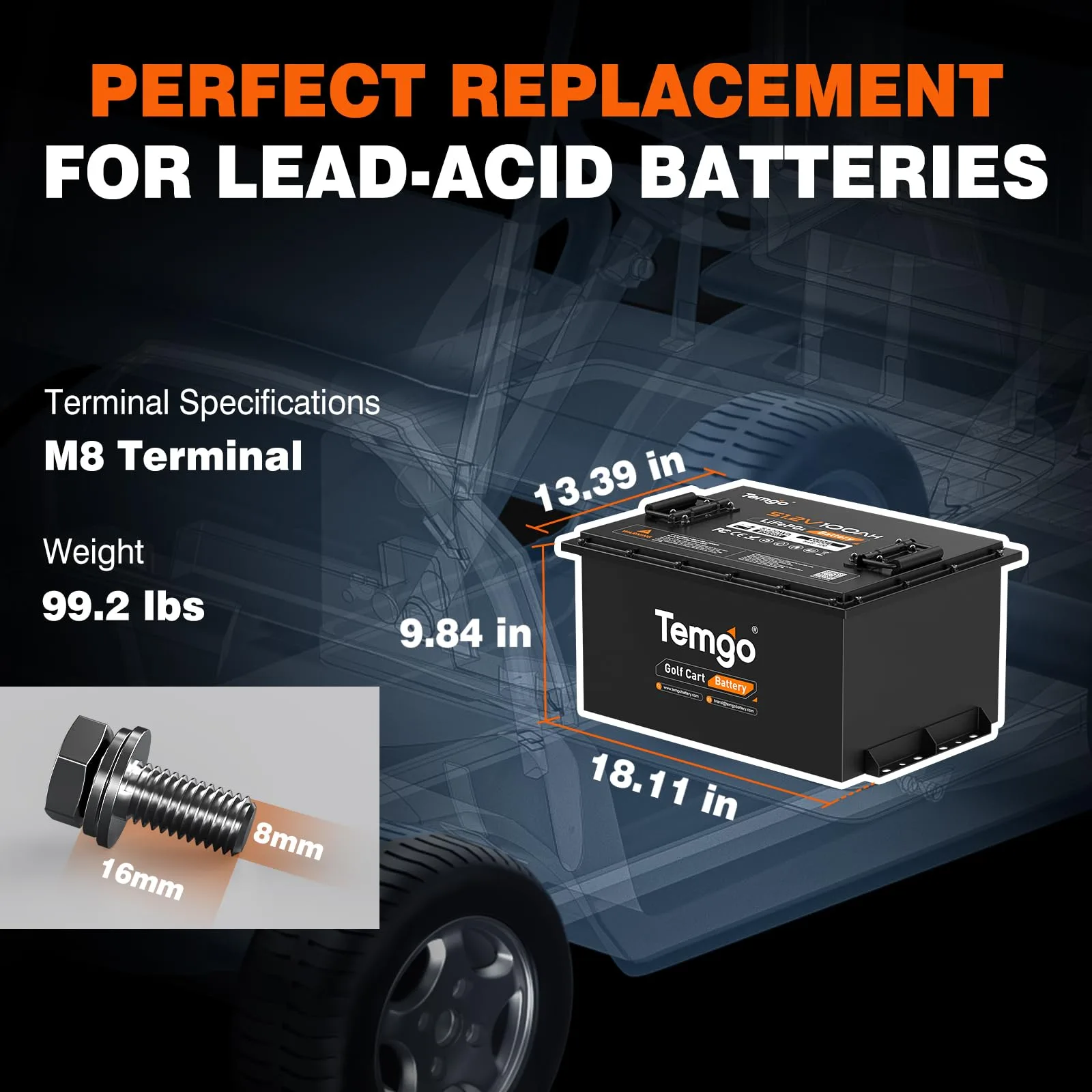 TEMGO 48V (51.2V) 100Ah LiFePO4 Golf Cart Battery TM-48100-M image 2