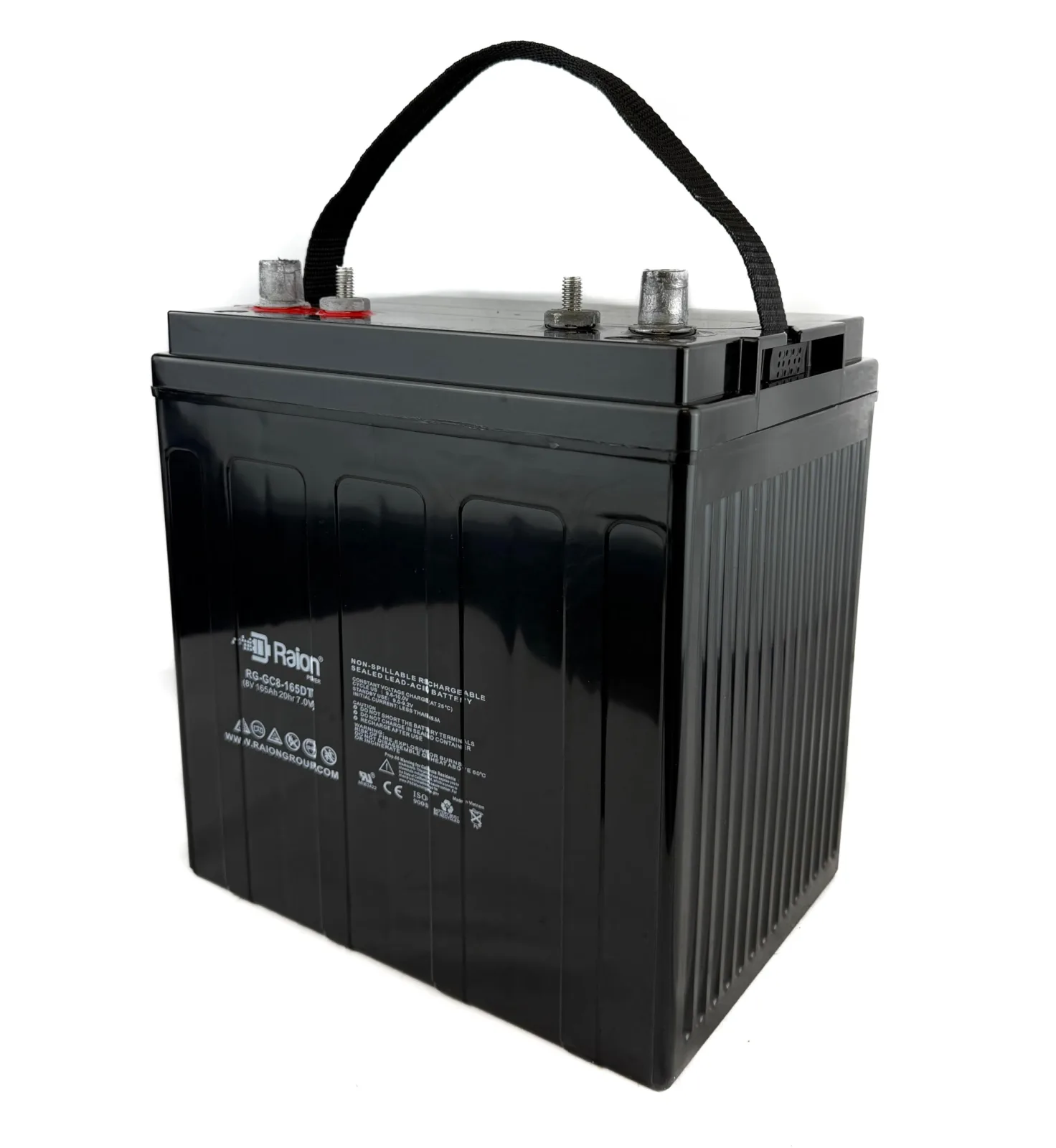 Raion Power RG-GC8-165DT 8V 165Ah GC8 AGM Battery - 6 Pack image 2