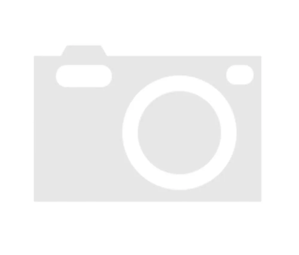 RHOX Tinted Windshield for E-Z-GO RXV Golf Cart