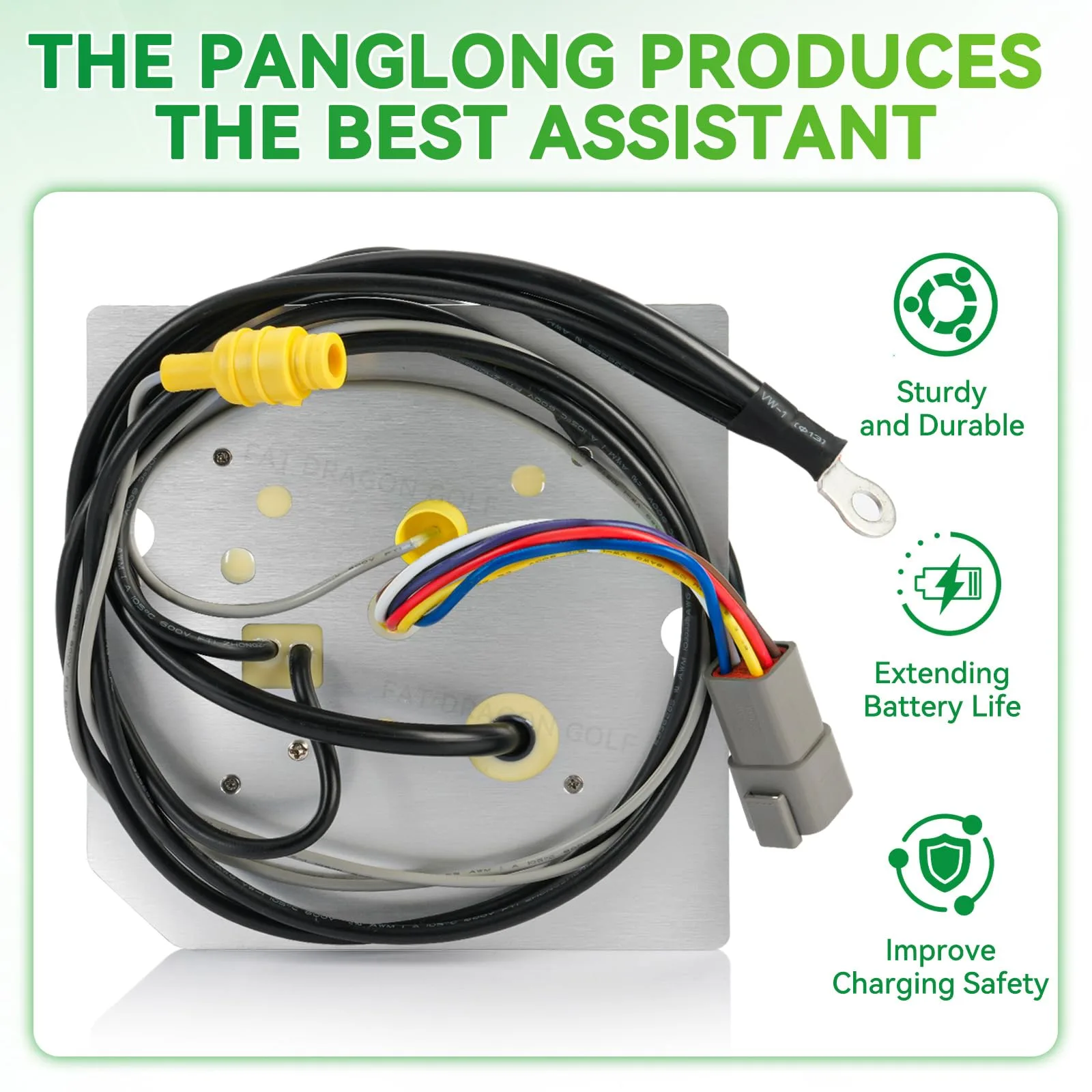 Panglong On-Board Computer for Club Car DS (OBC, 48V, OEM 102852001) image 3