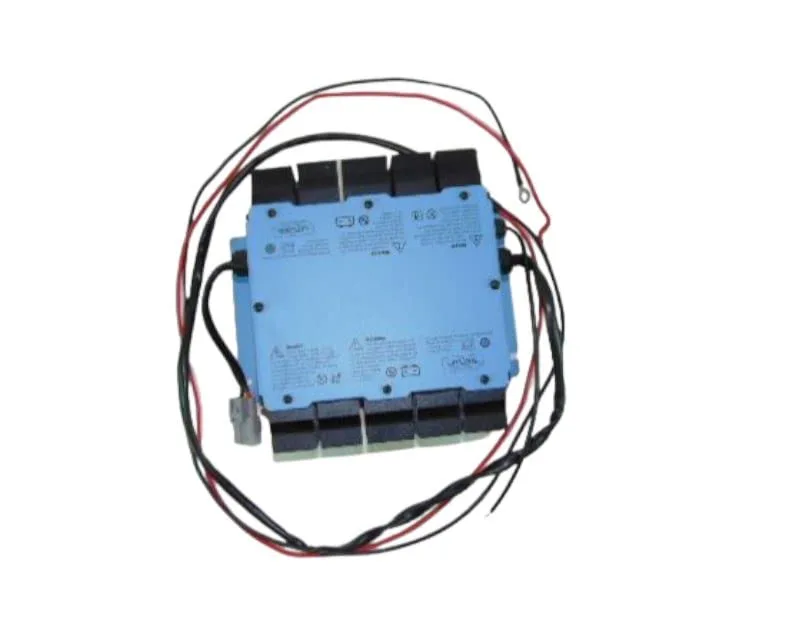 3G 48V Charger for Advanced EV Golf Carts image 2