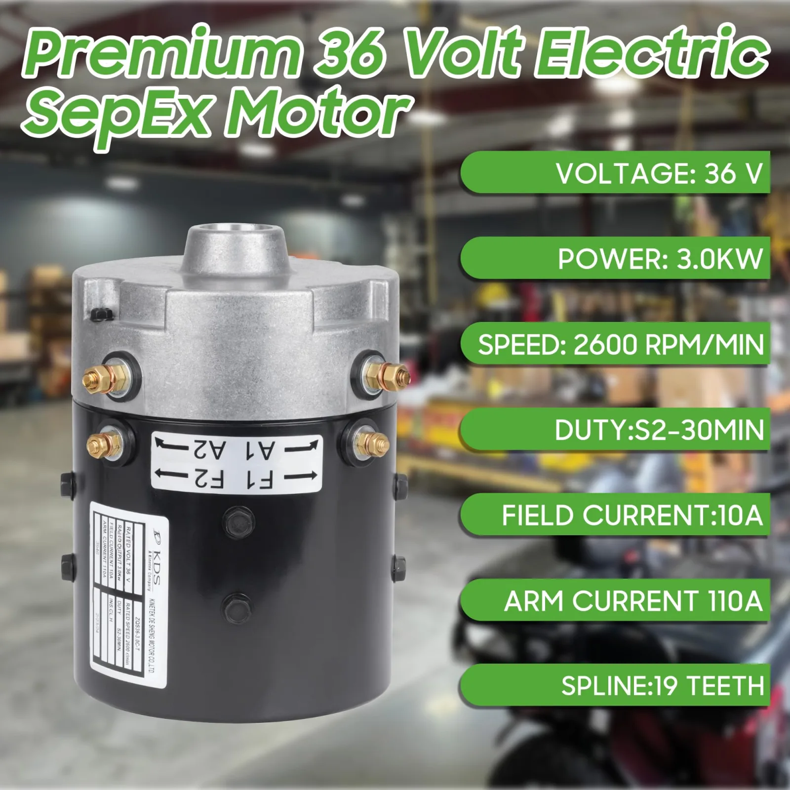 10L0L 36V SepEx Motor for E-Z-GO TXT PDS image 3