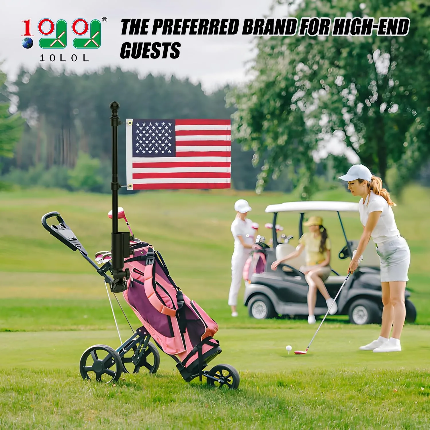 10L0L Golf Cart Flag Mount Holder Kit image 2
