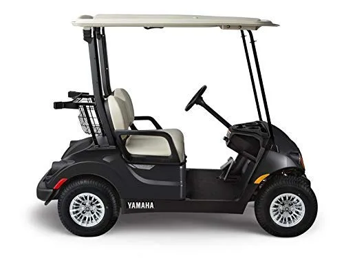 DOORWORKS Hinged Door Enclosure for Yamaha Drive & Drive2 image 2