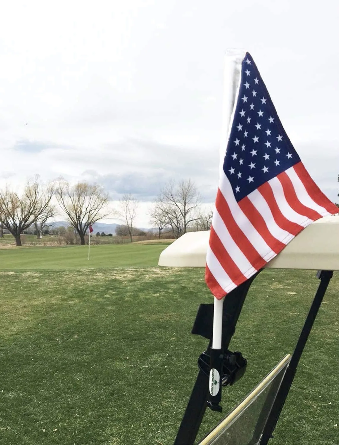 Caddie Buddy Golf Cart Flag Holder for 1/2-Inch Poles image 3