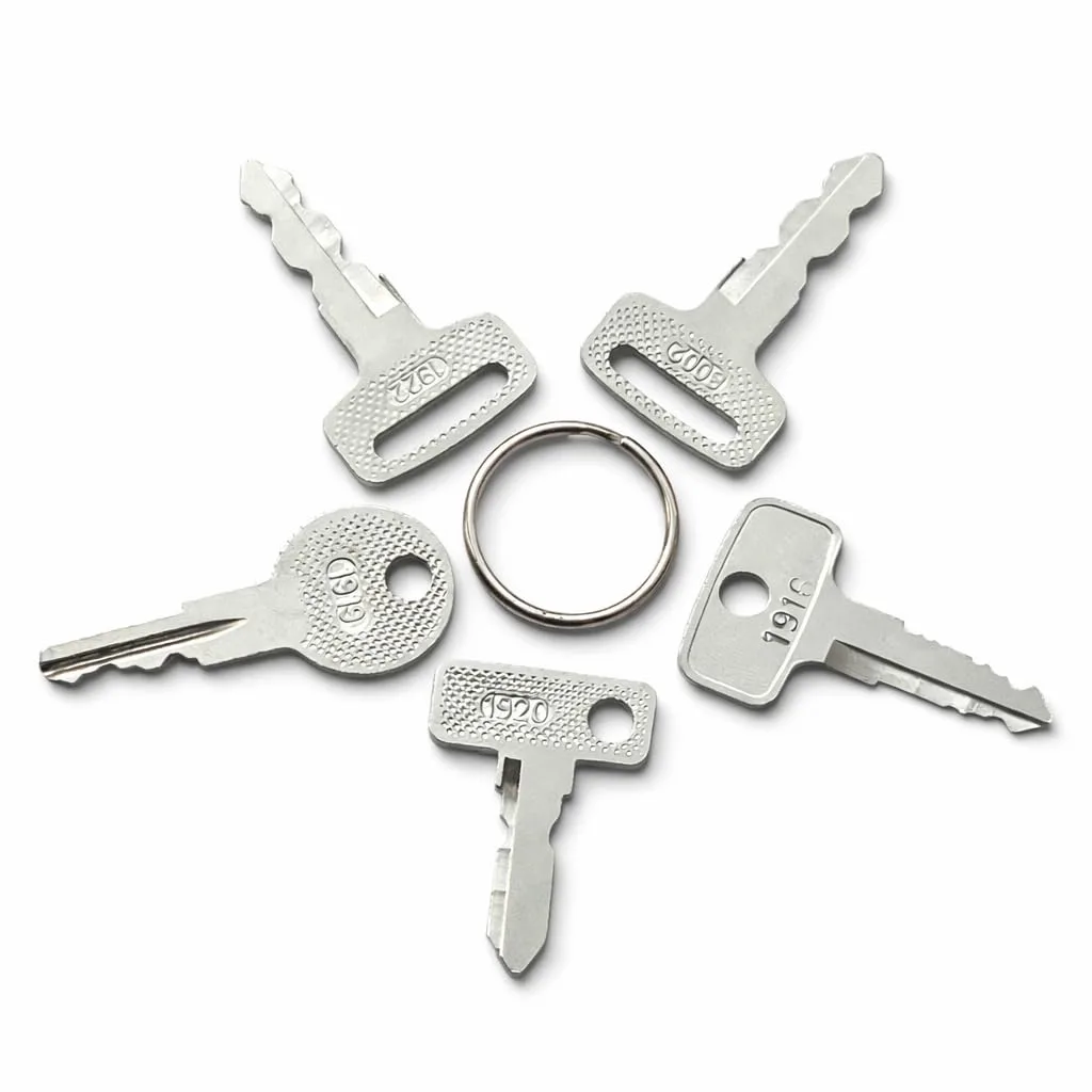 Rolvyns 5-Key Golf Cart Ignition Key Set