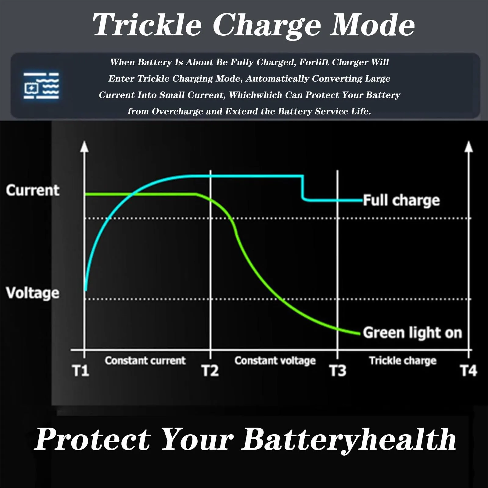 WLEJSL 48V 15A Charger for E-Z-GO Golf Carts image 2