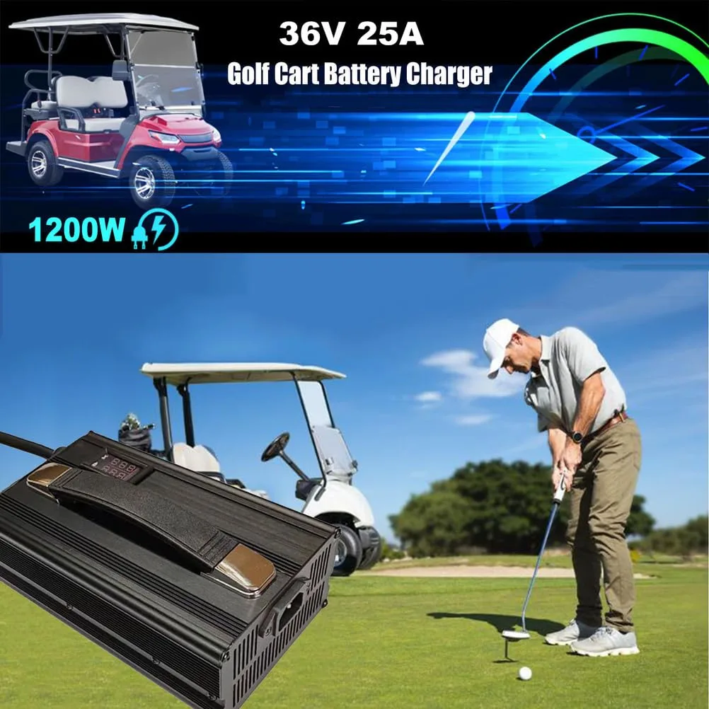 HYDTGZ Golf Cart Battery Charger Model 66802326 image 2