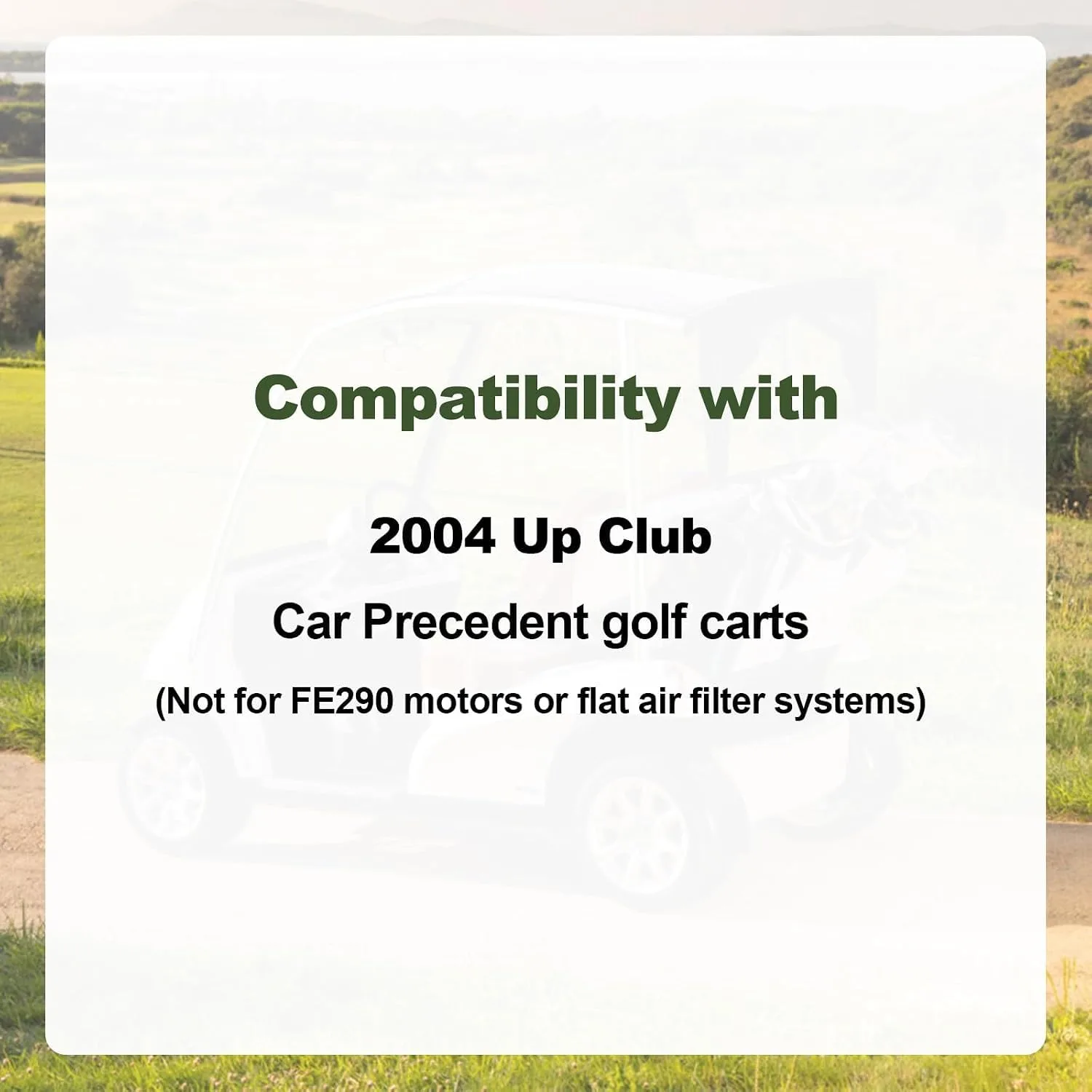RARAYC Tune-Up Kit for Club Car Precedent FE350 image 2
