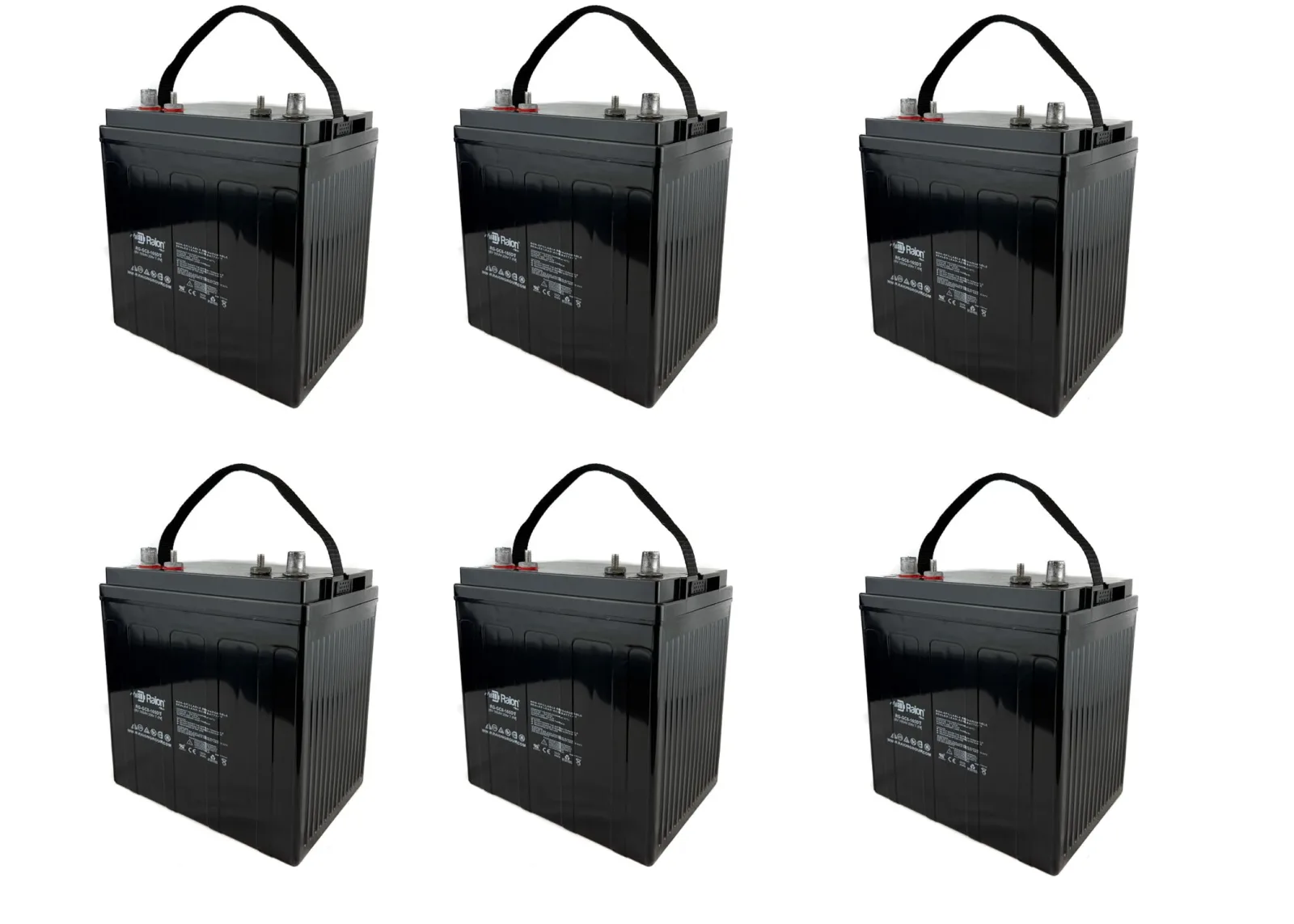 Raion Power 8V 165Ah AGM GC8 Battery Set
