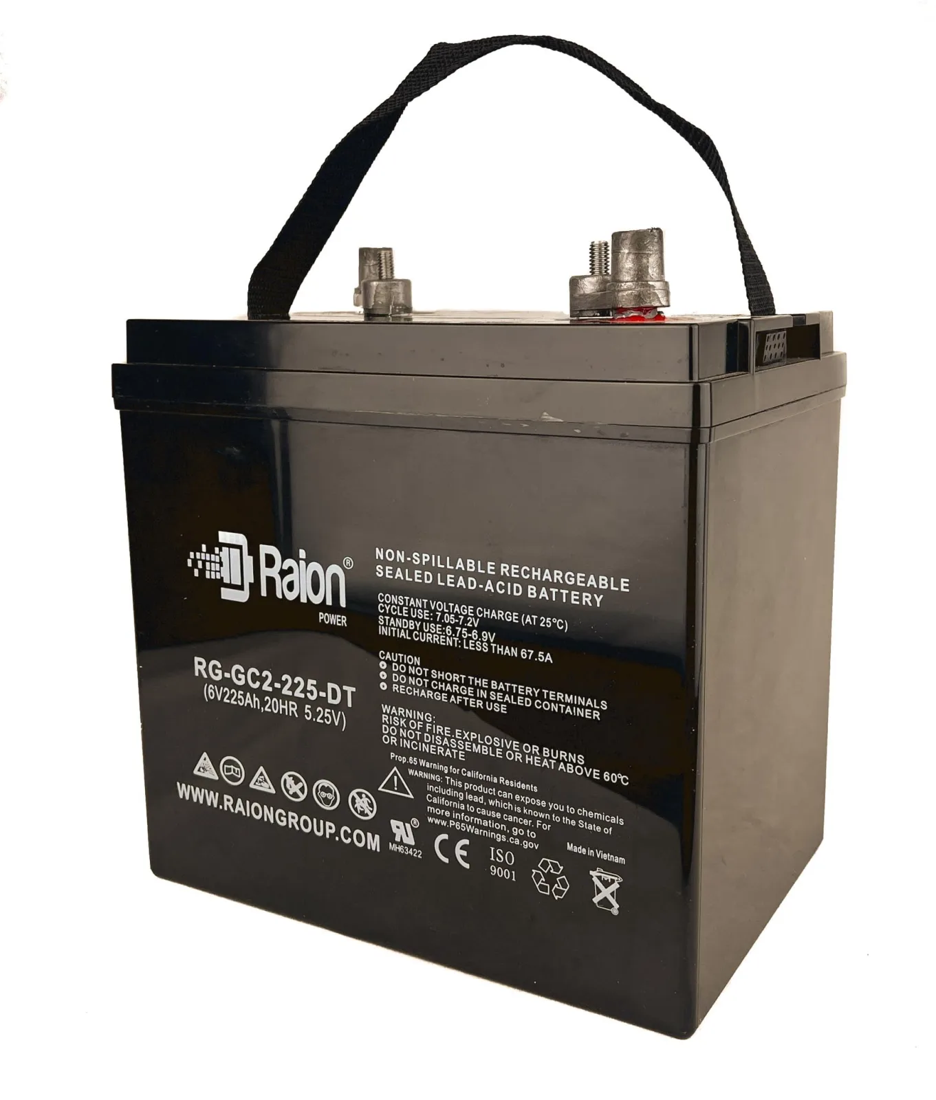 Raion Power RG-GC2-225-DT 6V AGM GC2 Battery 8-Pack image 2
