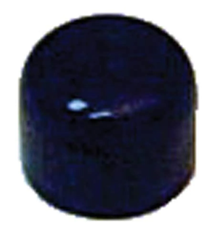 Yamaha G2 Upper King Pin Bush Cap