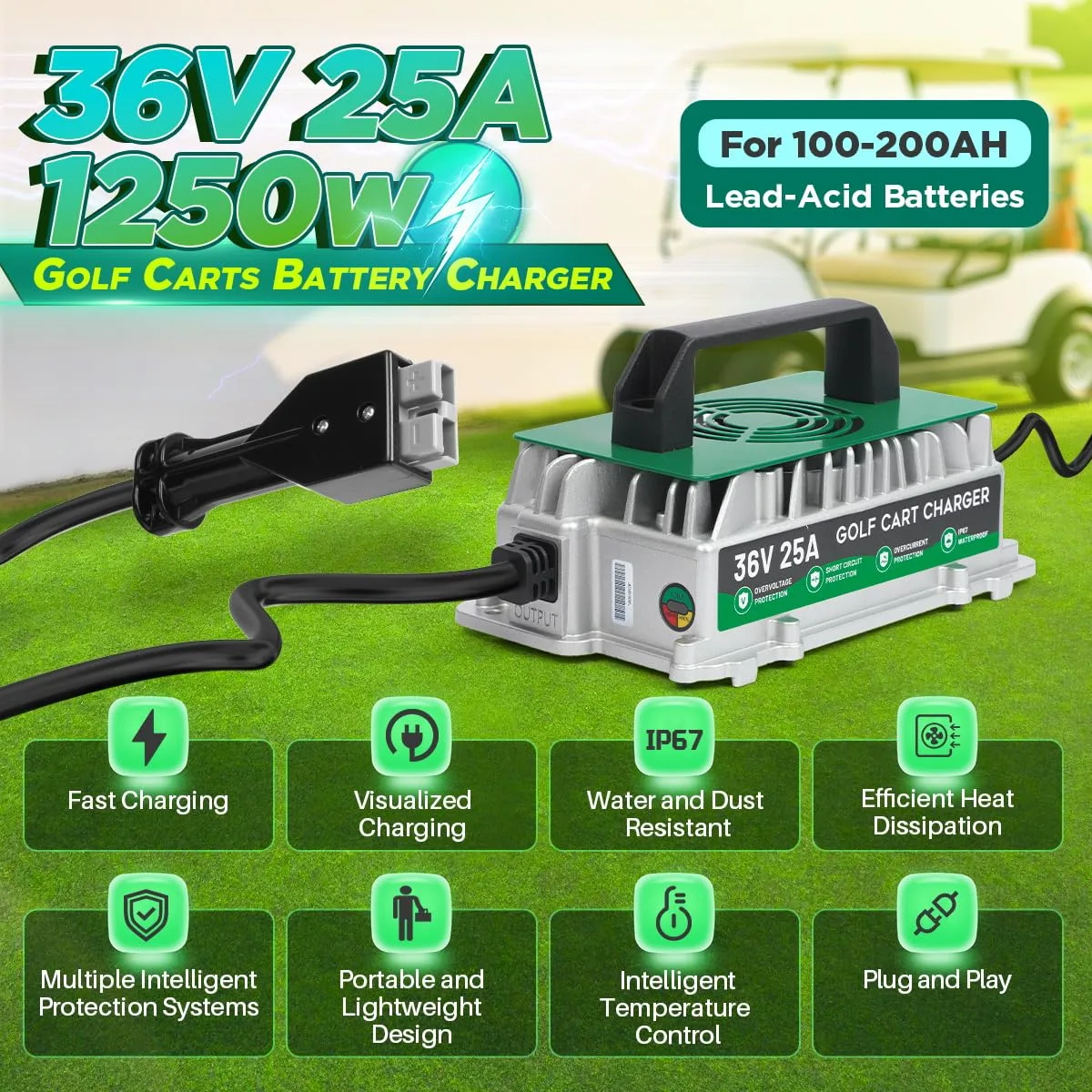 DUOYI 36V 25A Charger for EZGO Marathon Golf Carts image 2