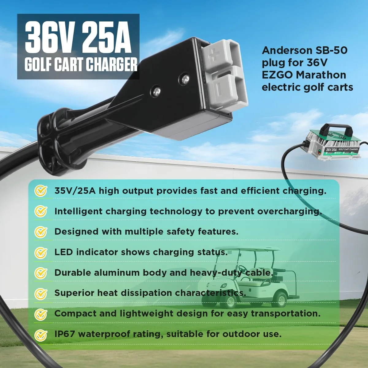DUOYI 36V 25A Charger for EZGO Marathon Golf Carts image 3