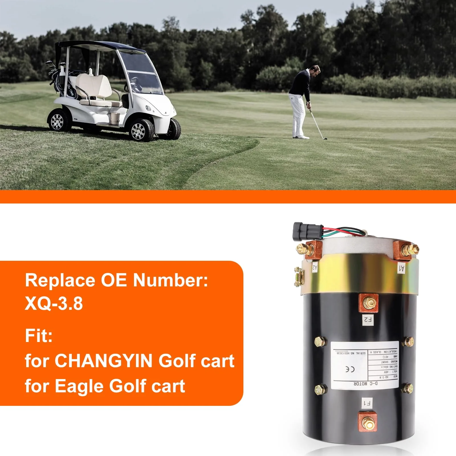 PARTAYOZAS XQ-3.8 48V Golf Cart Motor image 2