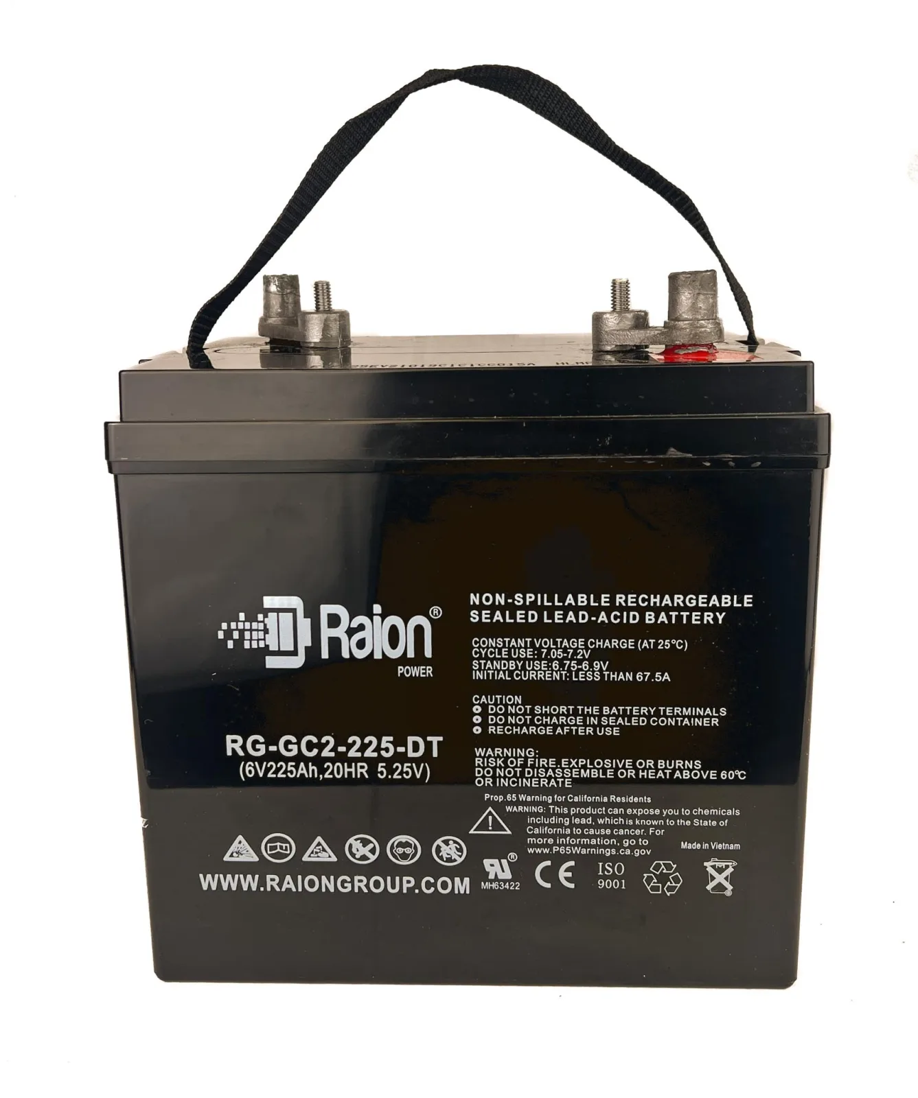 Raion Power RG-GC2-225-DT 6V 225Ah AGM Battery Set image 3