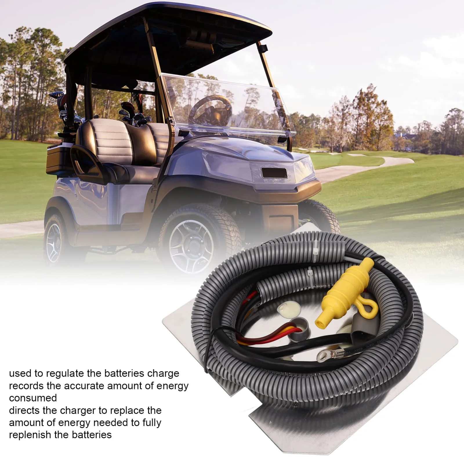 Samst 48V OBC for Club Car DS 1998-2004 image 4
