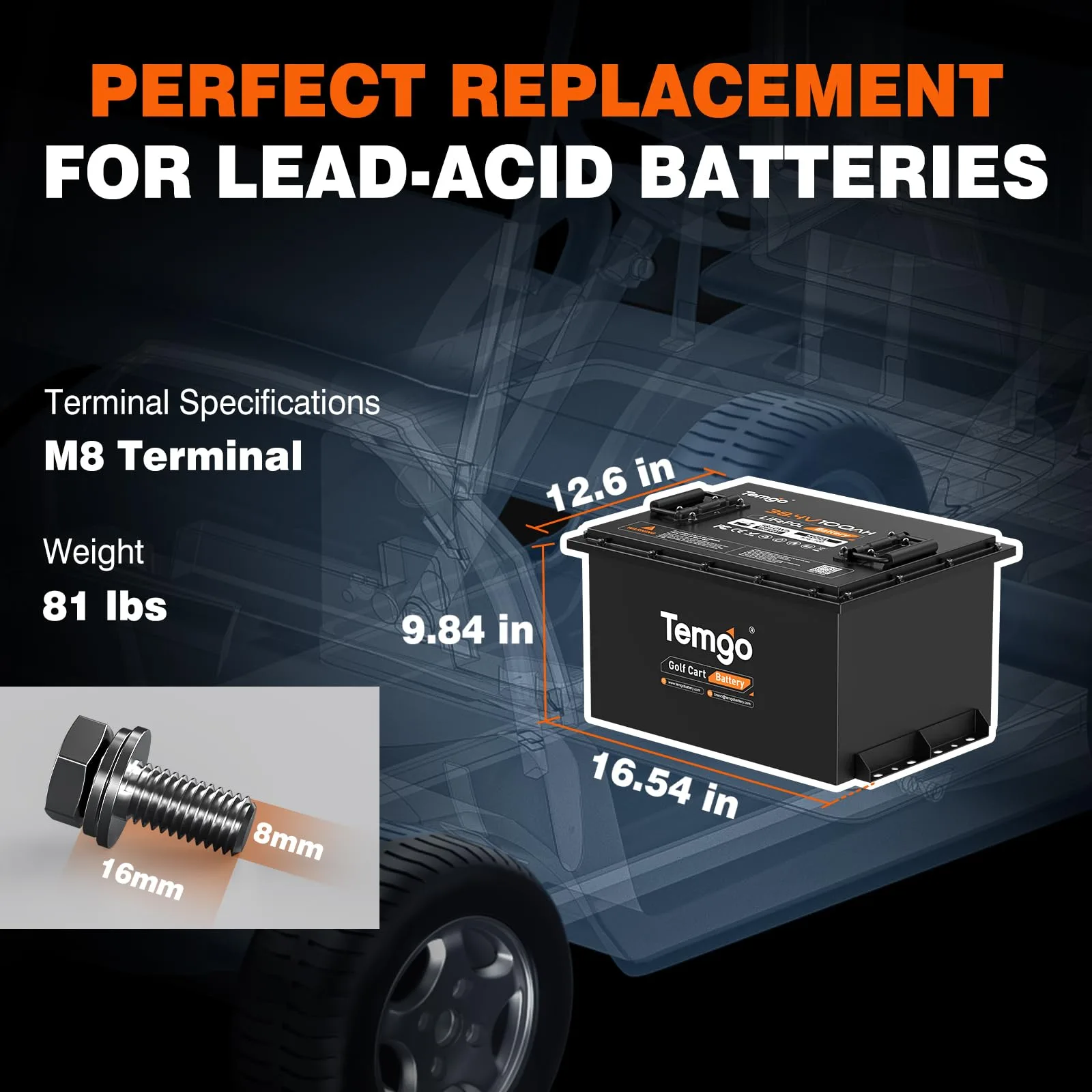 TEMGO S36-100 36V 100Ah LiFePO4 Golf Cart Battery image 2