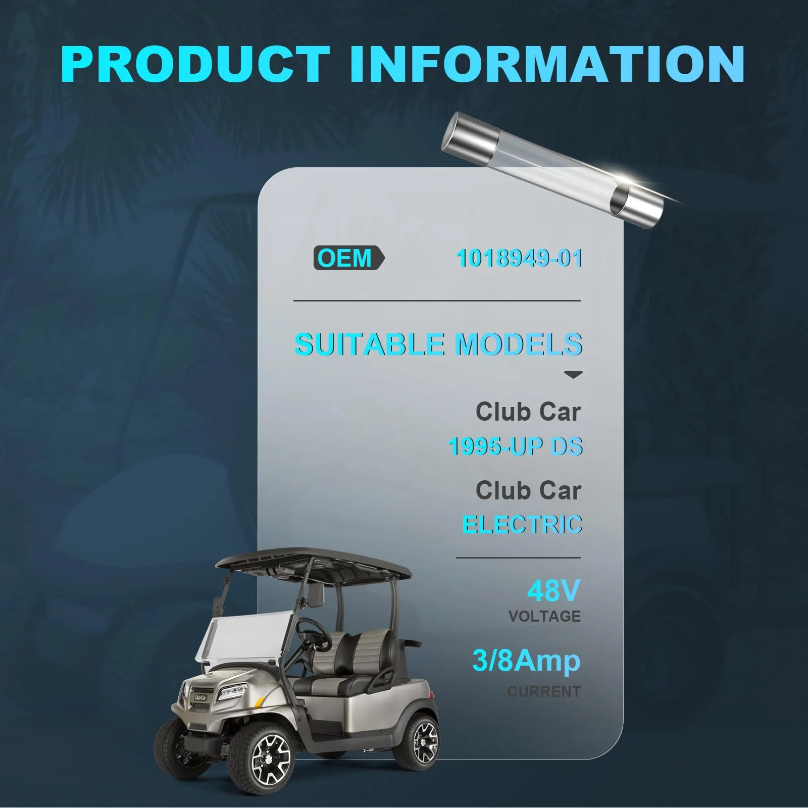 IOOBLBEI Club Car DS 48V Charge Receptacle Fuses image 4