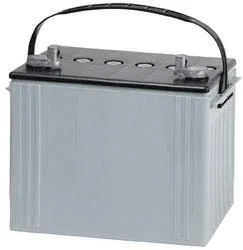Technical Precision ST 350 Golf Cart Battery
