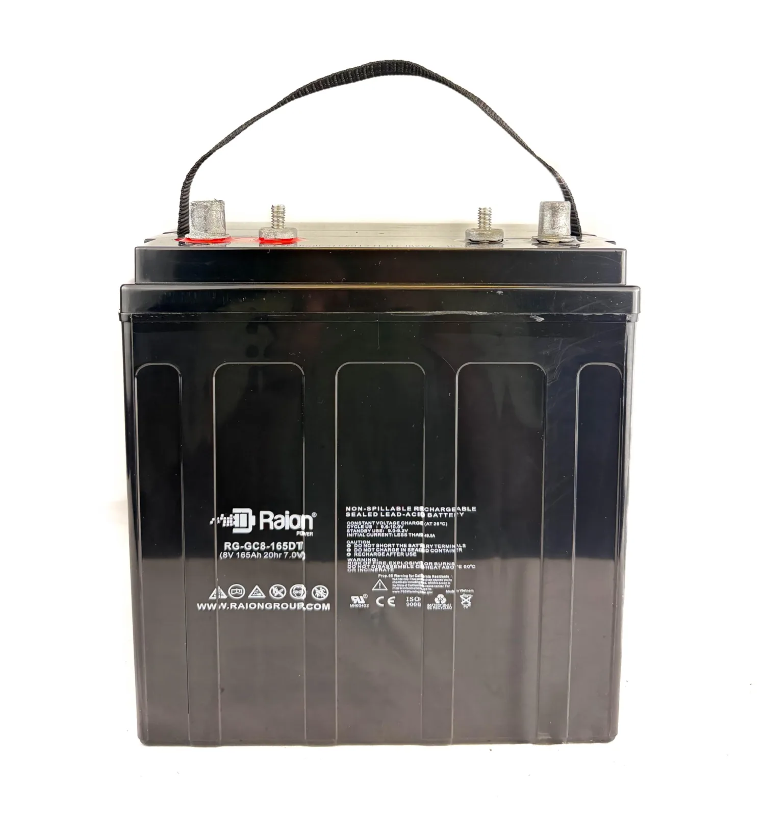 Raion Power 8V 165Ah AGM Battery Set for Cruise Car R2CB image 3