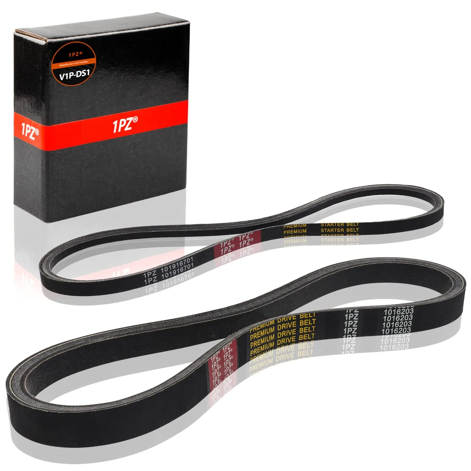 1PZ Club Car Drive & Starter Generator Belt Kit V1P-DS1