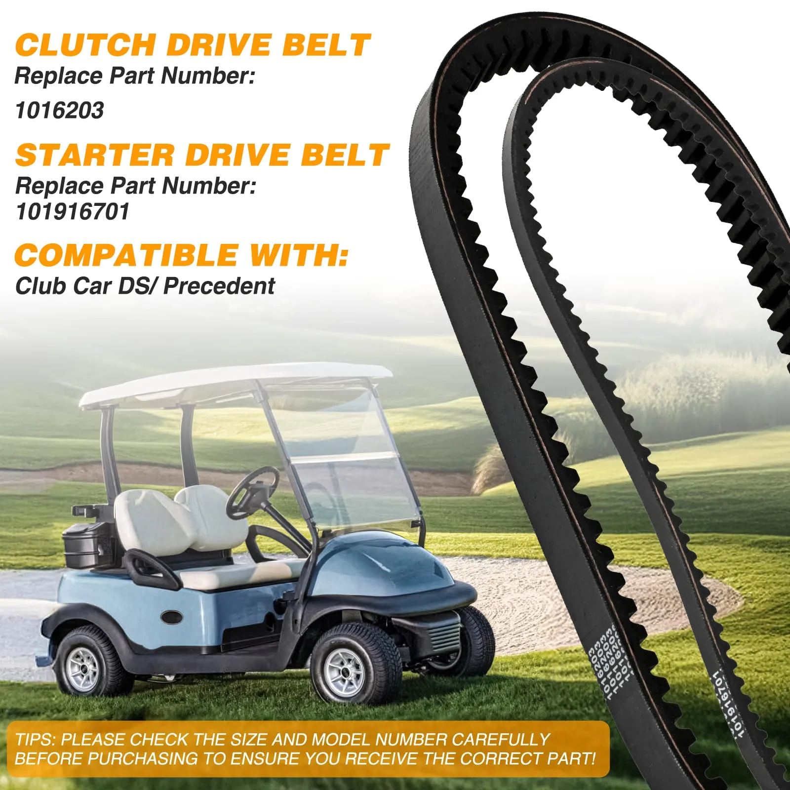 Nilight Club Car Drive and Starter Belt Kit Bel-2432 image 4