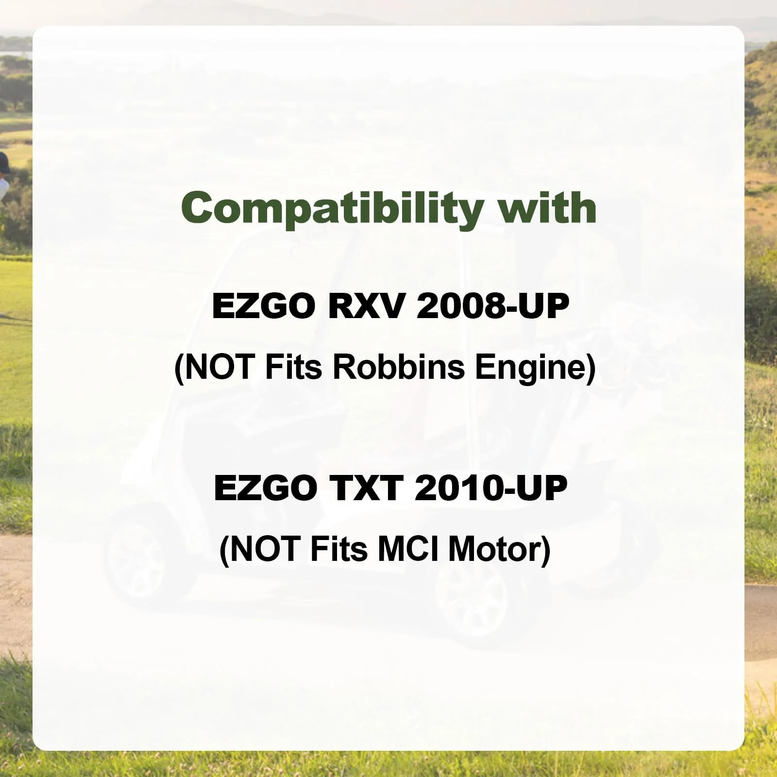 RARAYC ra242 Tune-Up Kit for E-Z-GO RXV and TXT Gas Carts image 2